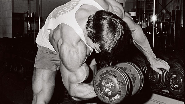arnold-concentration-curl