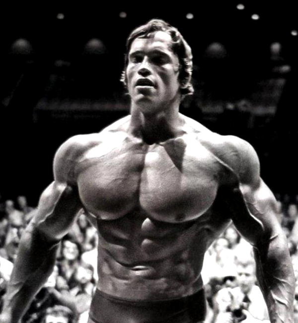 arnold-quotes