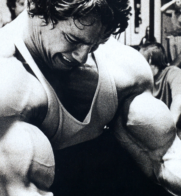 best-arnold-quote