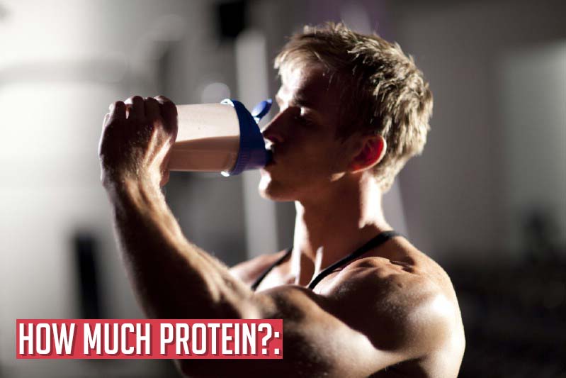 how-much-protein